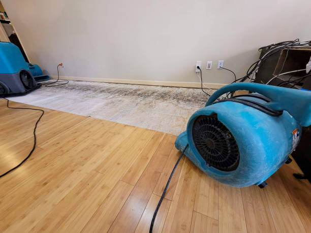 Professional Flood Damage Cleanup technician working in Brecksville, OH